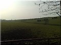 Drumlin Landscape, Tullinisky Townland