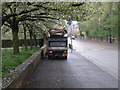 Blossom collector, Grange Road