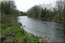 M4032 : River Clare (Abhainn an ChlÃ¡ir) by Graham Horn