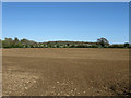 Field near New Place Farm