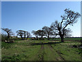 Footpath to Angmering