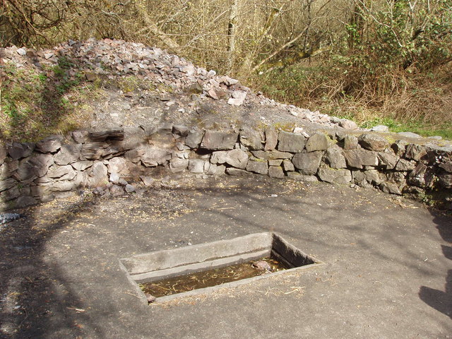 "Fulacht Fiadh" cooking pit, Irish National Heritage Park