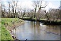 River Fowey looking upstream