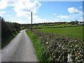 Straight leading to semi-circular bend by Bodlwyfan Farm