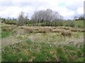 Eskernabrogue Townland