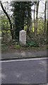 Milestone near Chiddingfold