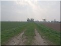 SE6618 : Farm track by Glyn Drury
