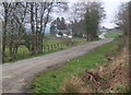 Looking along the track to Risk Farm