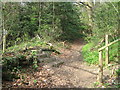 The North Downs Way crosses a footpath from Kemsing