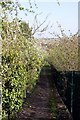 Footpath by the railway