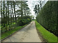 Track Towards Lowthorpe Lane