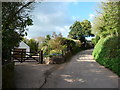 Loxbeare : Village Road