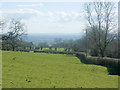 2009 : Pasture east of the Old Bristol Road