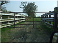 Cattle control fencing