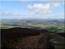 NS9534 : View north from near Tinto summit by Stephen Sweeney