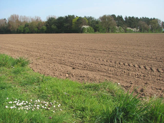 View across a cultivated field