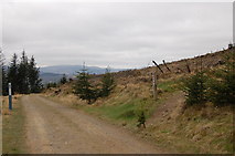 NT2842 : Path junction, Towers Trail Glentress by Jim Barton