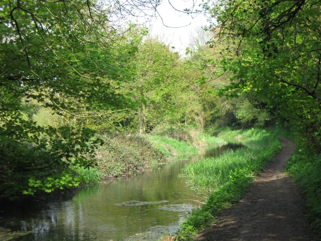 Wendover Arm: The Canal East of Hare Bridge (No 8), Halton