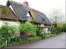 SP8510 : Thatched Cottage in School Lane, Weston Turville by Chris Reynolds