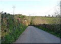 Mid Devon : Countryside Road