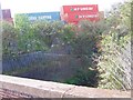 SP0887 : River Rea - Nechells by Roy Hughes