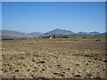 On Birker Fell