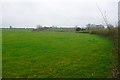 Fields at Grove Stall Farm