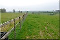 SY5699 : Fields near Lancombe Farm by Nigel Mykura