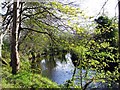 River at White Bridges, Rusky Park