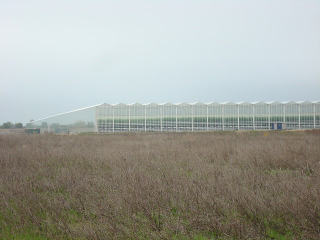 Thanet Earth on Planet Thanet © Phil Bull :: Geograph Britain and Ireland