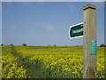 Footpath across the fields