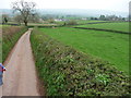SS9715 : Mid Devon : Country Road & Field by Lewis Clarke