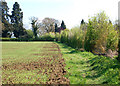 Blue Lias to Stockton Footpath (11)