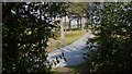 Footpath emerges onto Hindhead Golf Club