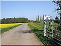 Track to Gatewood farm