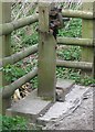 Wendover Arm; Sluice Gate