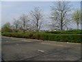 Landscaping at Glasgow Business Park