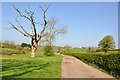 New Beaupre farm track near Cowbridge