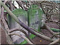 Gravestones in Doveridge churchyard