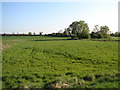 East end of Aubourn from the River Witham