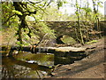 Bridge and pipe over Tinker Brook