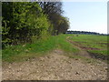 Farm Track off Gate Wood Lane