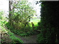 Footpath junction near Staplehurst Manor