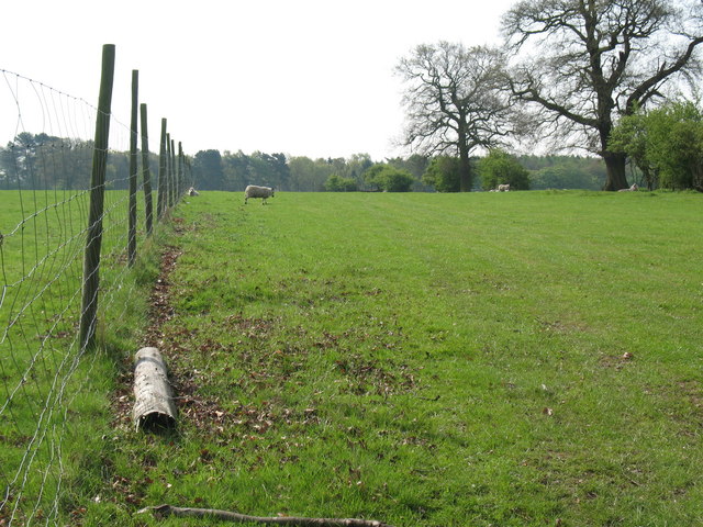 View South from Abnalls Lane