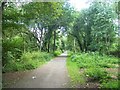 Tiverton : Railway Line Footpath