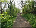 Public footpath, Quarry Bank