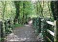 Footbridge, Quarry Bank