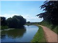 Tiverton : Grand Western Canal