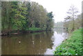 River Medway west of Miller