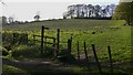 Footpath junction near Dockenfield